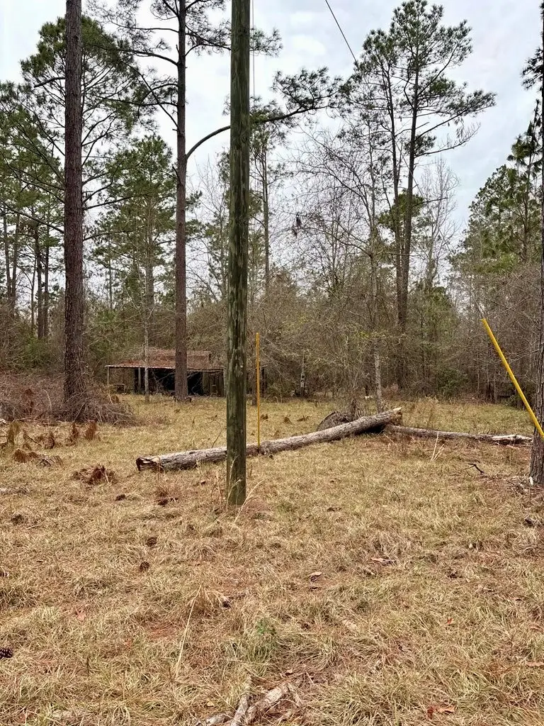 223 Spring Hill Road, Lyons, GA 30436 - Image #3