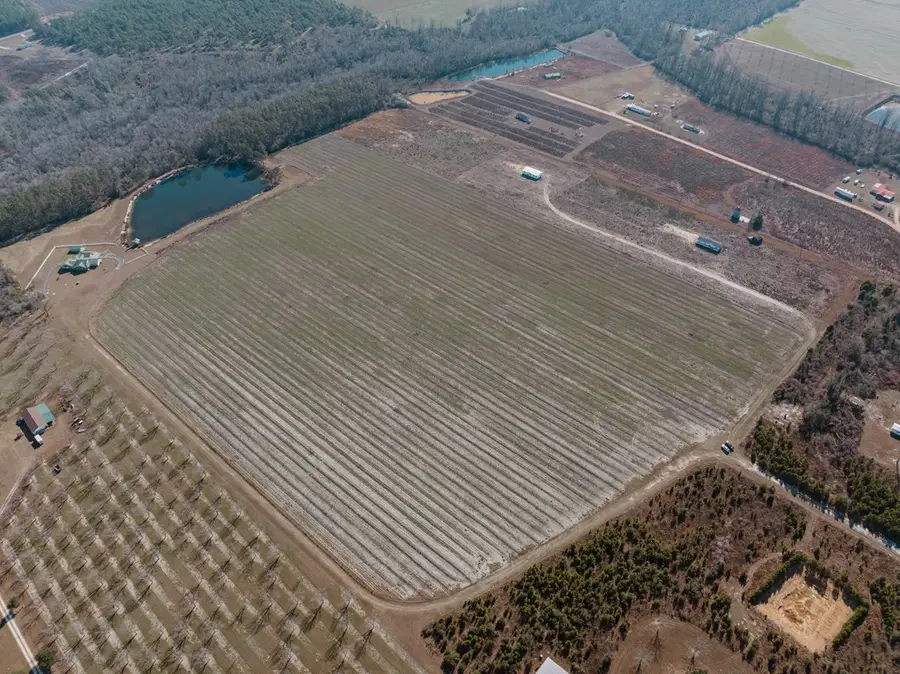 000 Tract 1 Lake Mayers Rd, Baxley, GA 31513 - #2