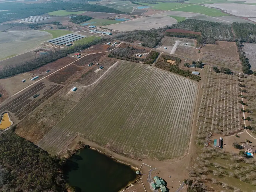 000 Tract 1 Lake Mayers Rd, Baxley, GA 31513 - #3