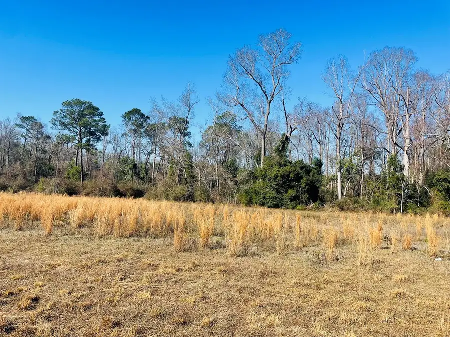 16.59Ac Rosemont Road, Glennville, GA 30427 - Image #2