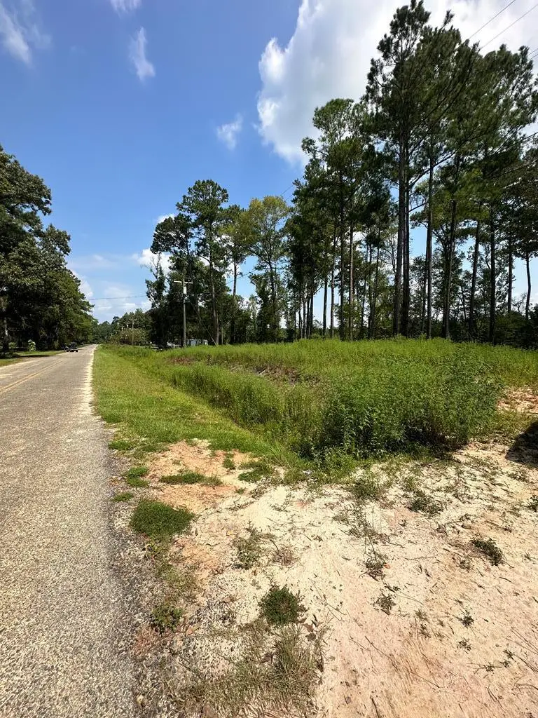 00 Dead River Rd Lots #25, 26, 27, 32, Uvalda, GA 30473 - Image #3