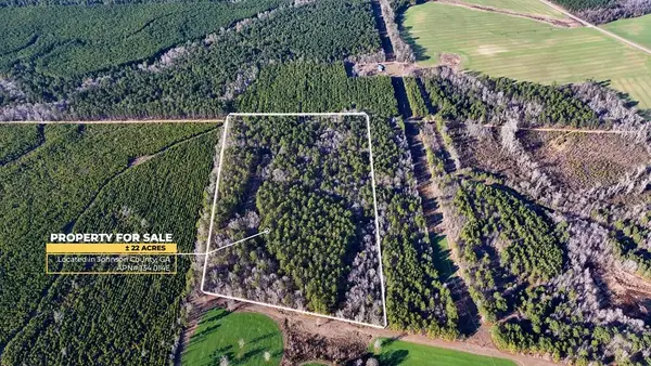 675 Jackson Rd, Wrightsville, GA 31096