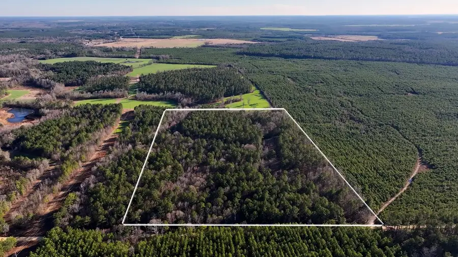 675 Jackson Rd, Wrightsville, GA 31096 - #3