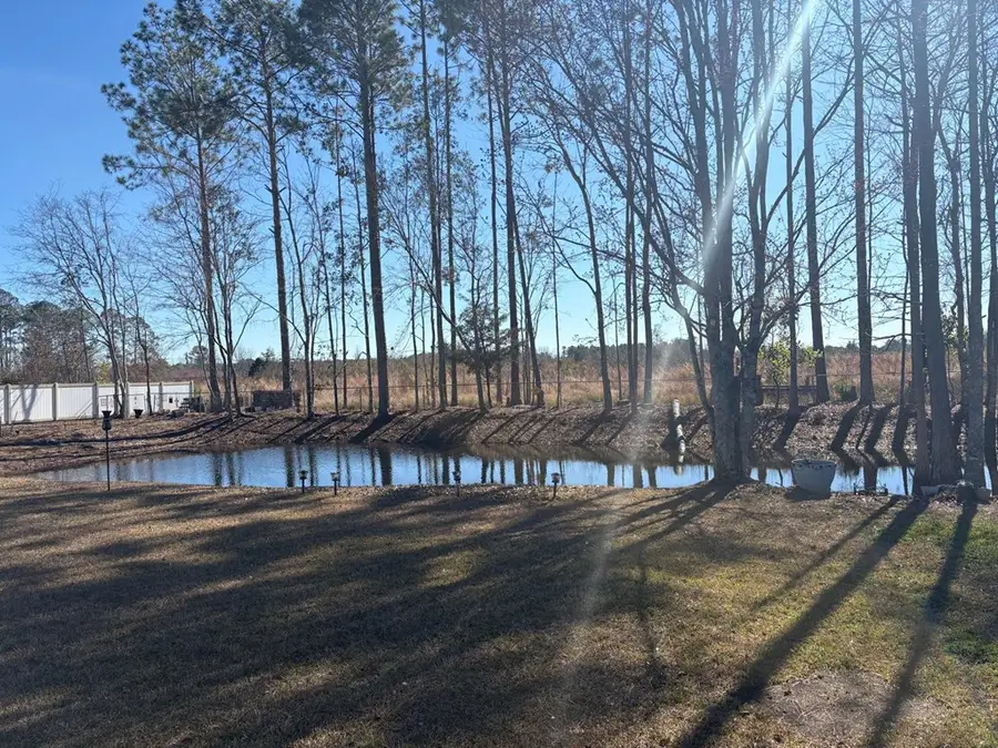 388 Forest Ave, Baxley, GA 31513 - #3