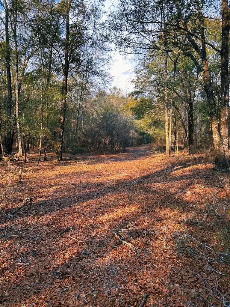 0 Lovely Church Rd, Eastman, GA 31023 - #3