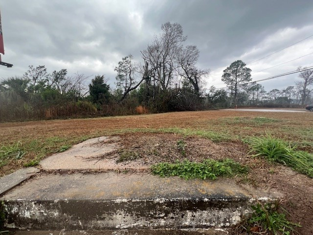 0 N State St, Lyons, GA 30436 - #2