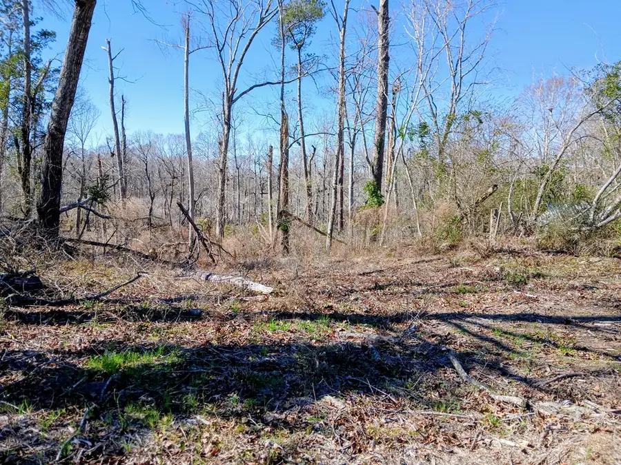 none Dead River Rd, Uvalda, GA 30473 - #3