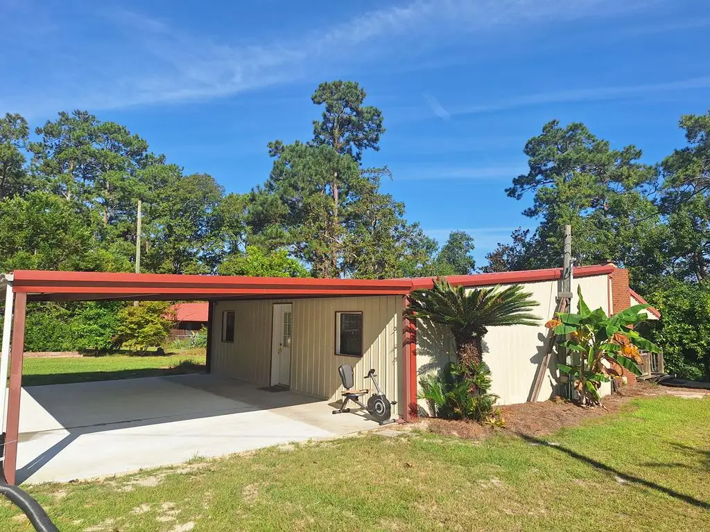 163 High Bluff Rd, Baxley, GA 31513 - #1