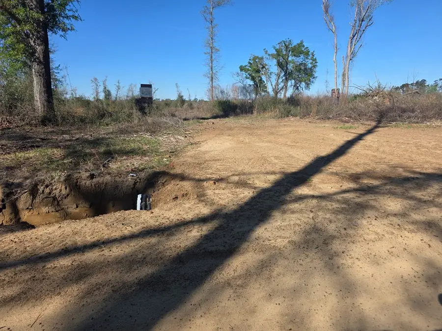 760 Darrell Thompson Rd, Lyons, GA 30436 - #2