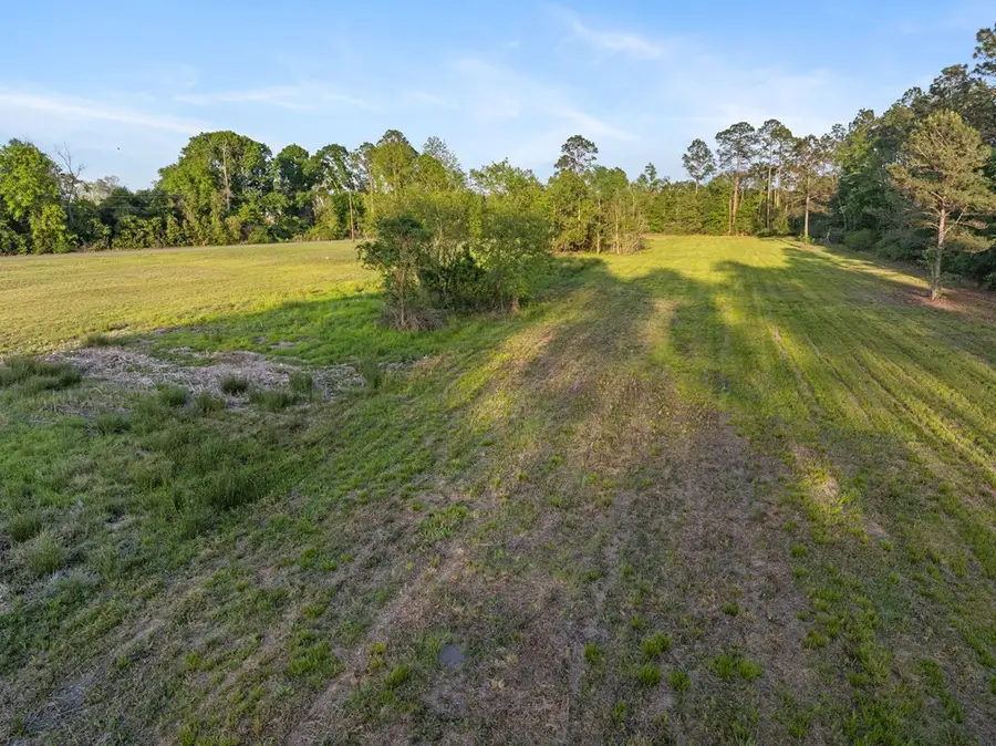 0 Anthony St, Baxley, GA 31513 - #3