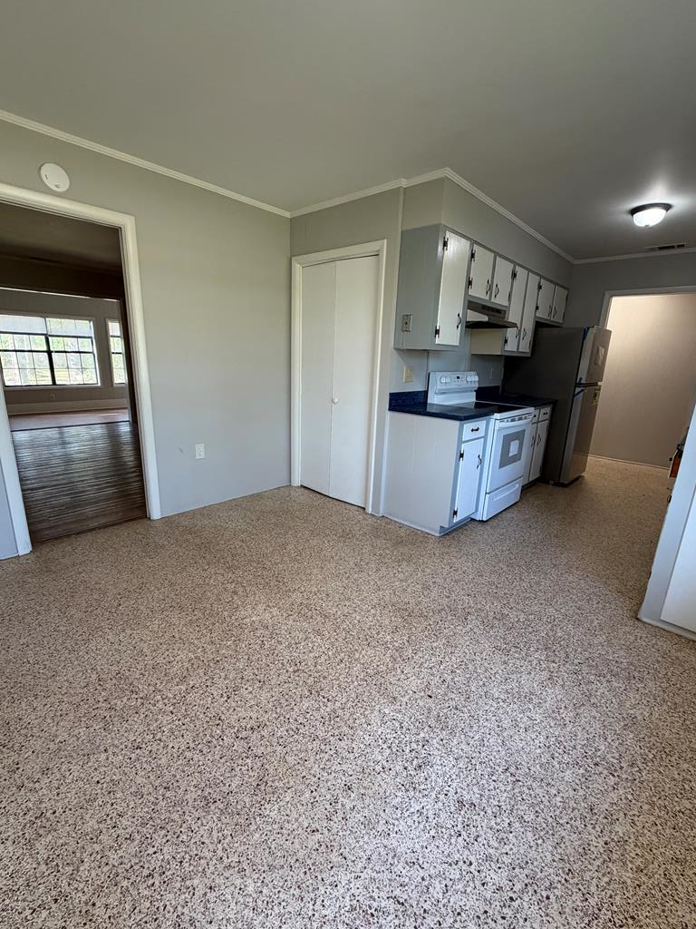 807 Jungle Rd, Vidalia, GA 30474 - #3