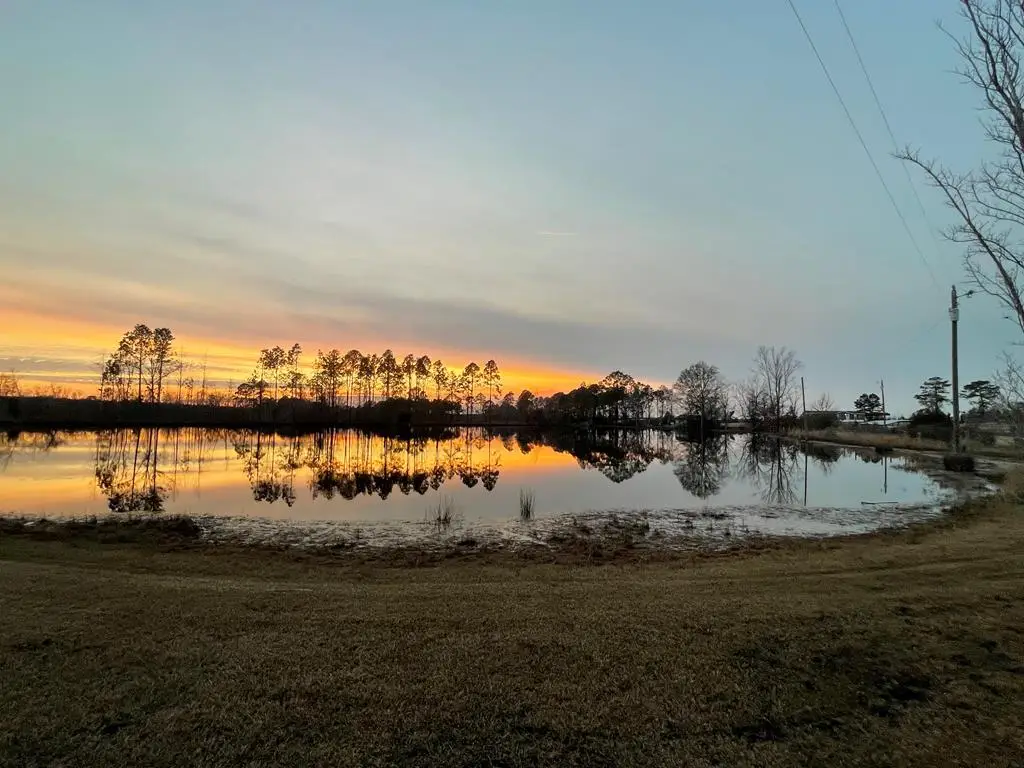 275 Marchants Dairy Road, Rhine, GA 31077 - #1