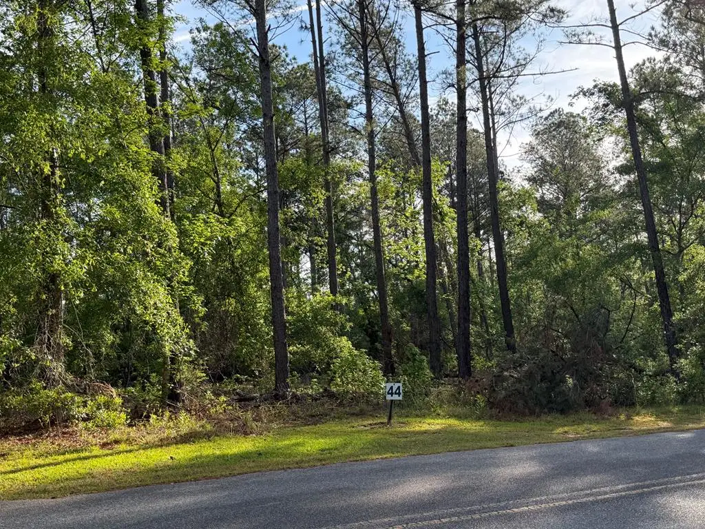 Lot #44 Lot #44, Vidalia, GA 30474 - #1