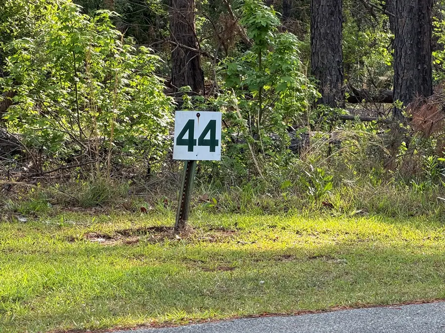 Lot #44 Lot #44, Vidalia, GA 30474 - #2