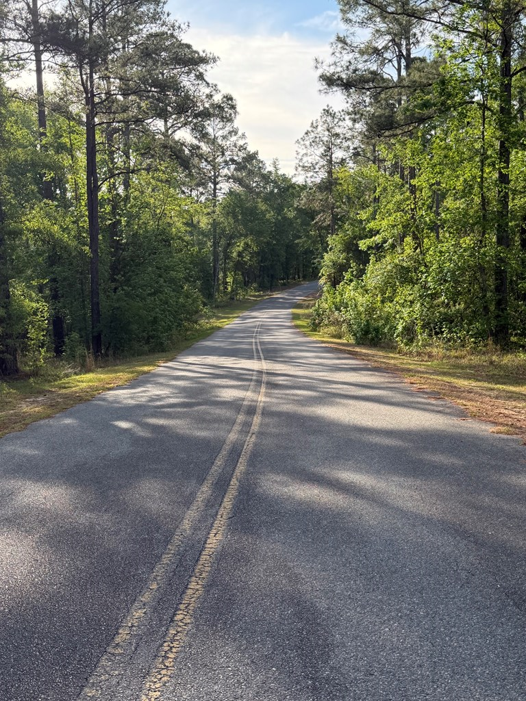 Lot #44 Lot #44, Vidalia, GA 30474 - #3