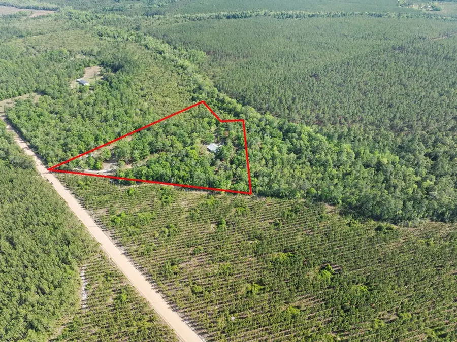 1234 Bennett Rd, Screven, GA 31560 - #3