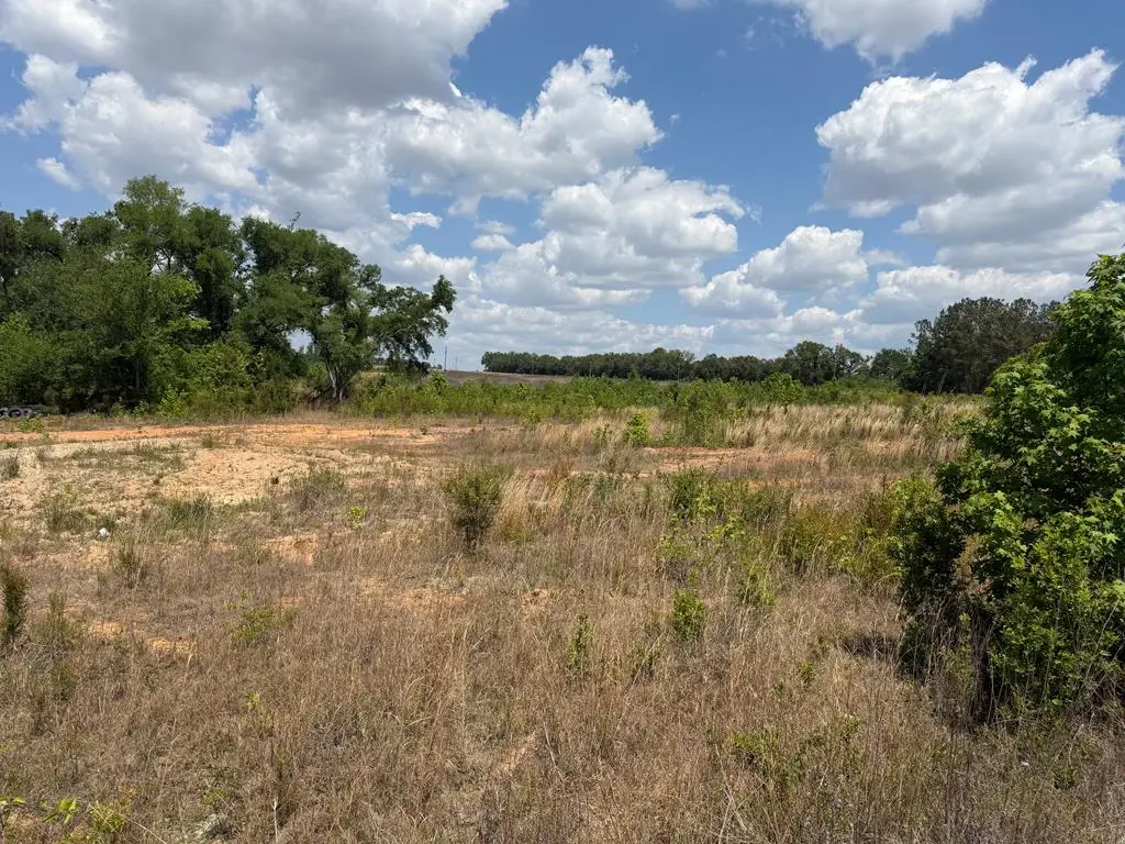 402 Grays Landing Rd, Uvalda, GA 30473 - #1