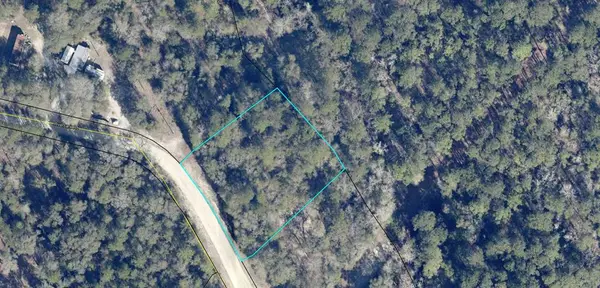 Lot 7 Riverbank Road, Reidsville, GA 30453