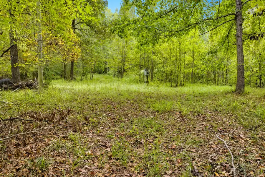 454 Wilderness Trail, North Augusta, SC 29860 - Image #2