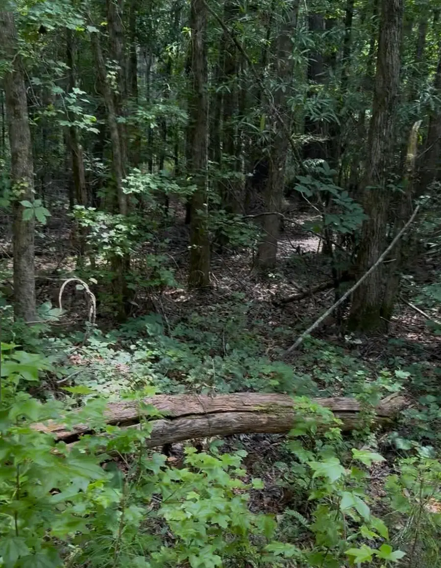 #2