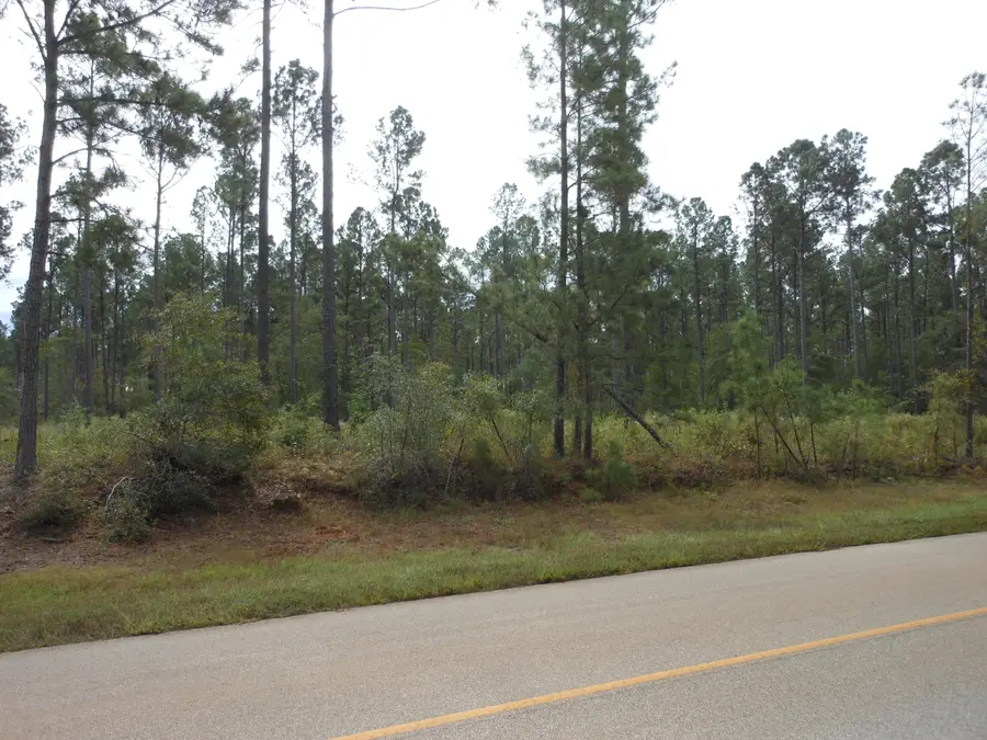 0 Spread Oak Road, Keysville, GA 30816 - Image #2