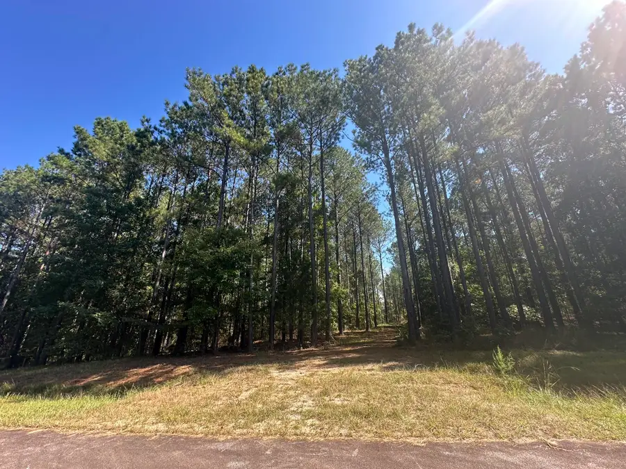 Lot 32 Petersburg, Lincolnton, GA 30817 - Image #2