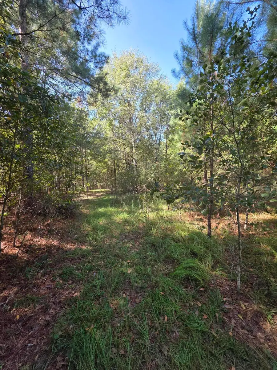 0 Beaver Dam Road, Perkins, GA 30822 - Image #2