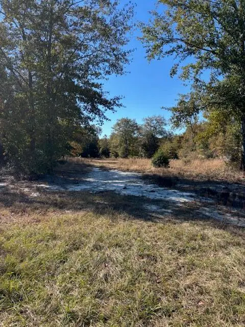 1006 Huckleberry Finn Road, Monetta, SC 29006 - Image #2