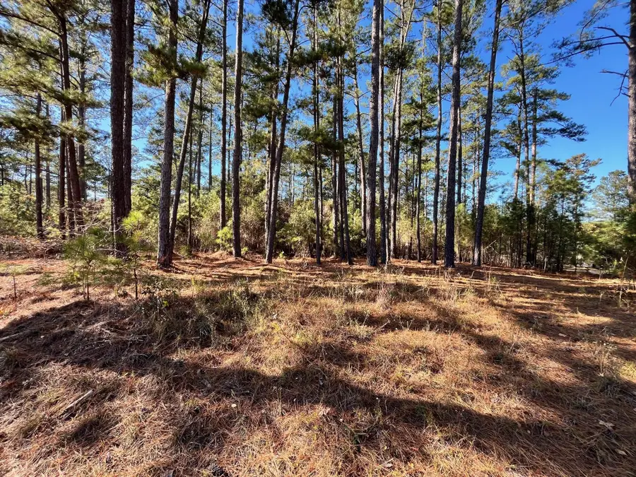 302 Georgeville Lane, Appling, GA 30802 - Image #2