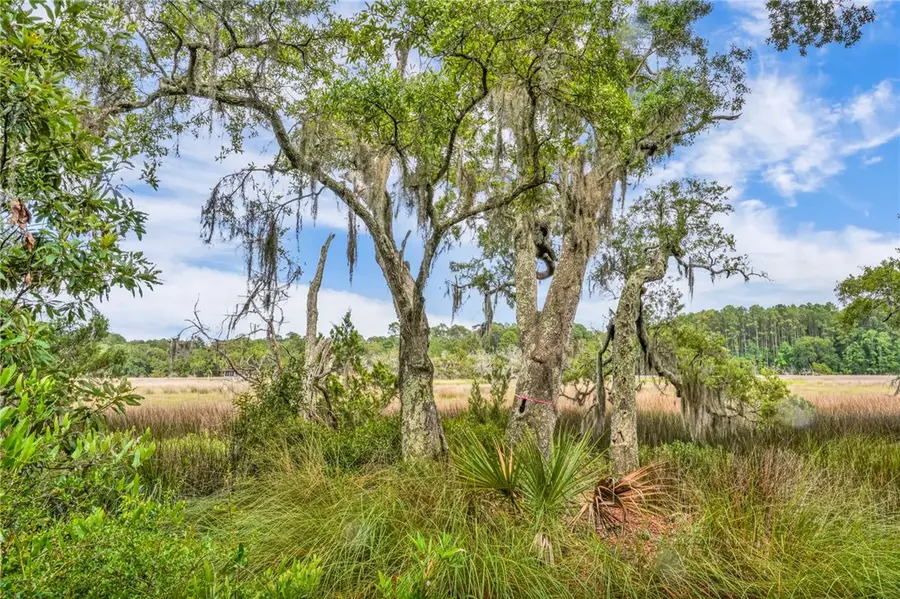 LOT 1 Tranquility Retreat Lane, Townsend, GA 31331 - Image #3