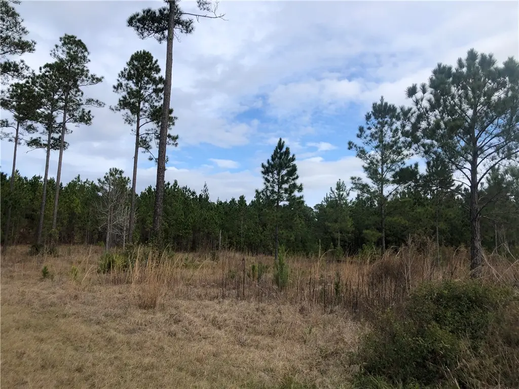 359 Salt Creek Way E, Brunswick, GA 31523 - #1