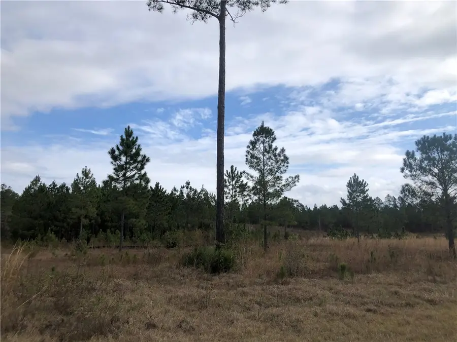 359 Salt Creek Way E, Brunswick, GA 31523 - #2