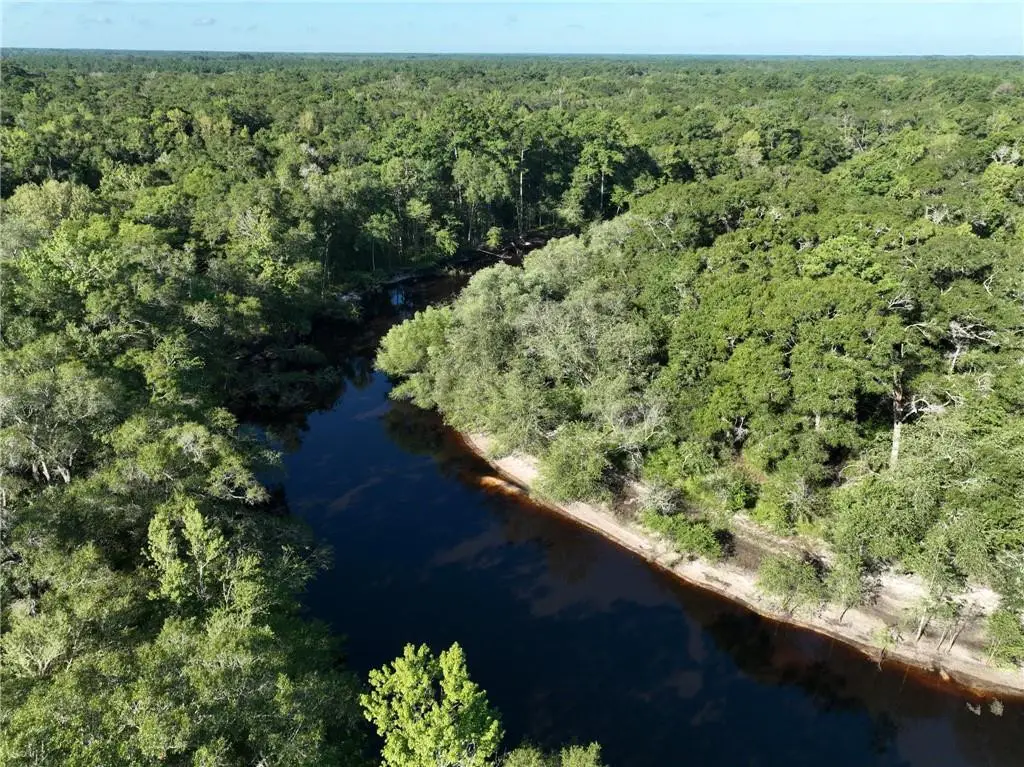 0 Hwy 301 Highway, Nahunta, GA 31533 - #1