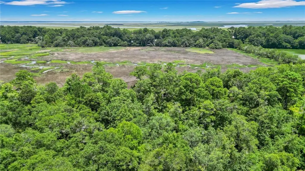 Lot 59 St Joseph's Point, Darien, GA 31305 - #1