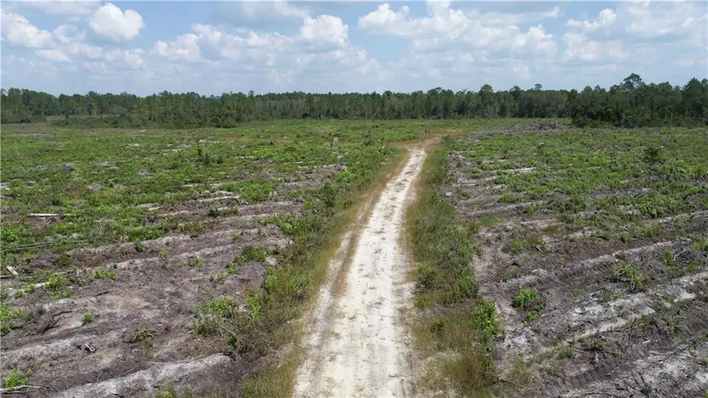 0 County Line Road, Hinesville, GA 31313 - #1
