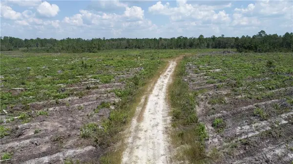 0 County Line Road, , GA 31313