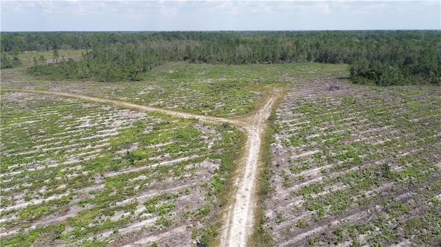0 County Line Road, Hinesville, GA 31313 - #2