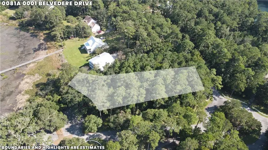 Lot 1 Belvedere Drive #1, Townsend, GA 31331 - #2