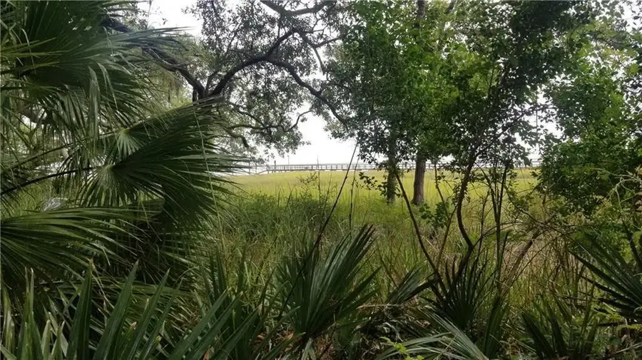 Lot 1 Belvedere Drive #1, Townsend, GA 31331 - #3