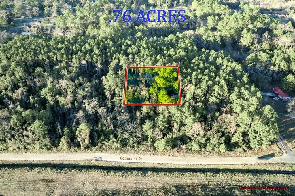 0 Cabinet Street, Waycross, GA 31501 - #1