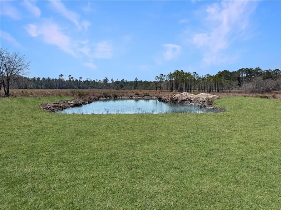 0 Humpback Road, Hortense, GA 31543 - #2