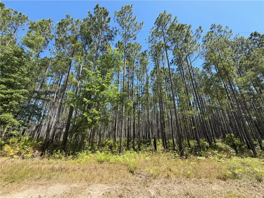 8.84 Strickland Road, Waycross, GA 31503 - Image #3