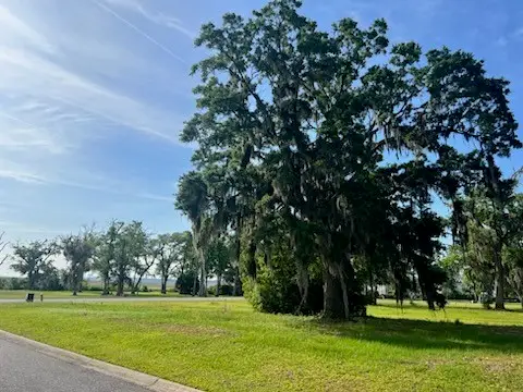 Lot 48 Maiden Creek Drive, Waverly, GA 31565 - #1