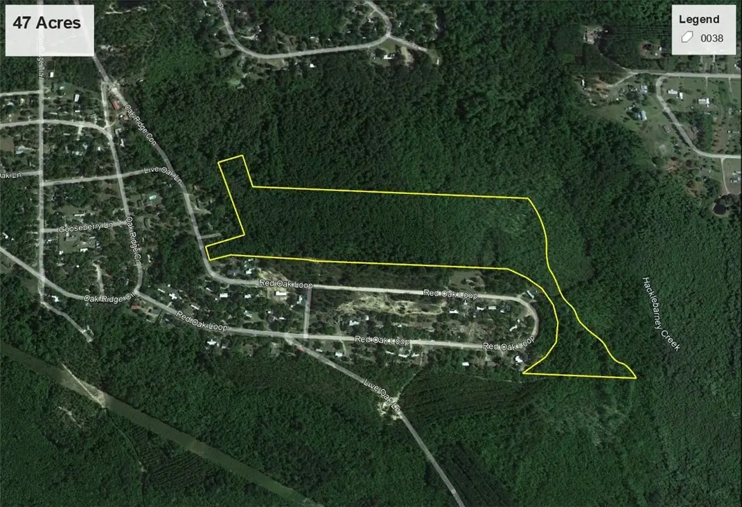 47 +/- Acres Live Oak Lane, Blackshear, GA 31516 - #1