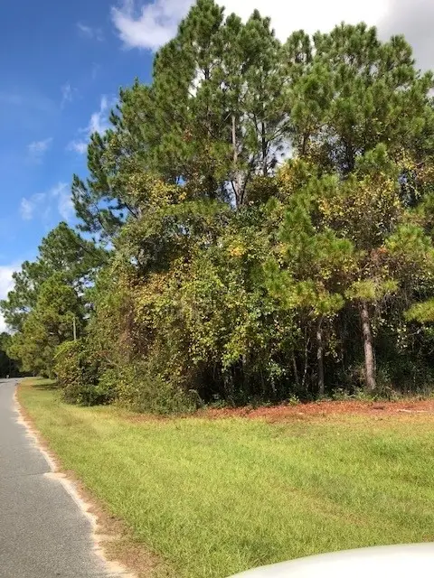 47 +/- Acres Live Oak Lane, Blackshear, GA 31516 - #2