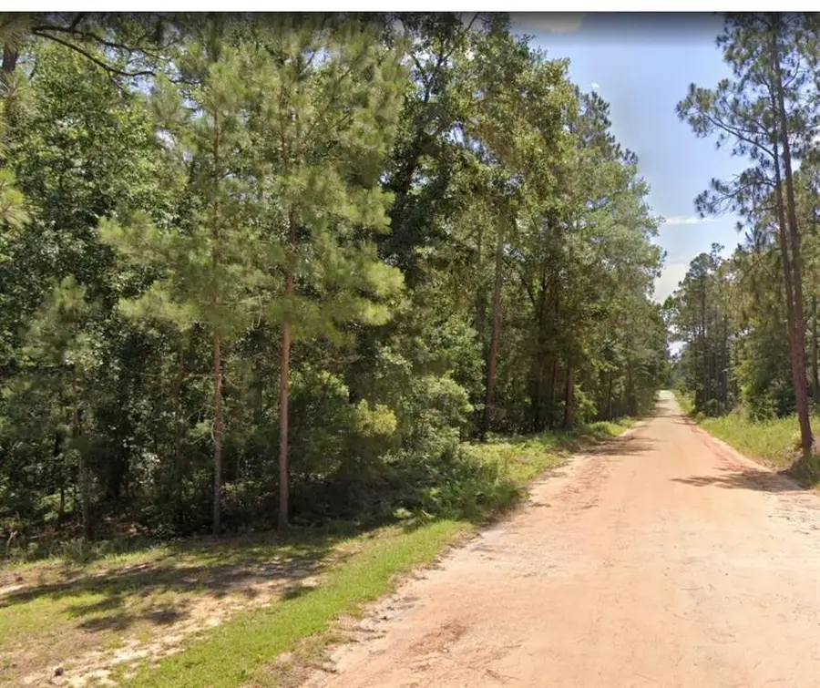 6.80 AC Scarlet Road, Vidalia Lyons, GA  - #3