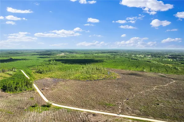 Tract 1 Morris Break Road, Odum, GA 31555