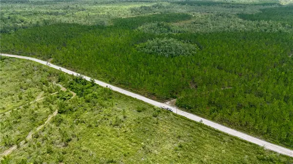 0 Fire Tower Road, Manor, GA 31550