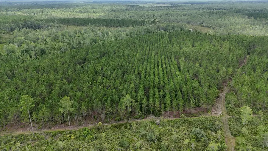 0 Fire Tower Road, Manor, GA 31550 - Image #2