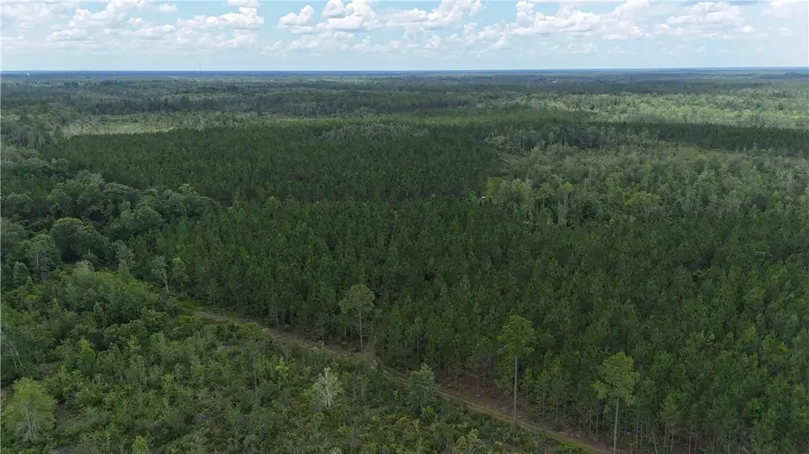 0 Fire Tower Road, Manor, GA 31550 - Image #3